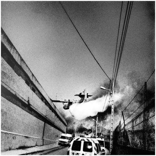 Témoin assisté dans le cadre d'une procédure Témoin assisté dans le cadre d'une procédure