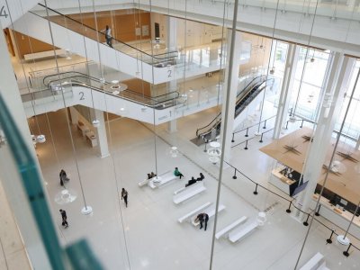 Affaire dite de « la grande mutation ». Mai 2025. Cour d’appel correctionnel de PARIS. Défense d’une prévenue.