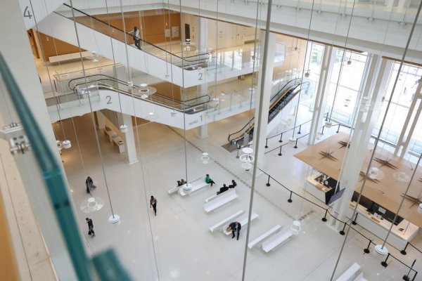 Affaire dite de « la grande mutation ». Mai 2025. Cour d’appel correctionnel de PARIS. Défense d’une prévenue.