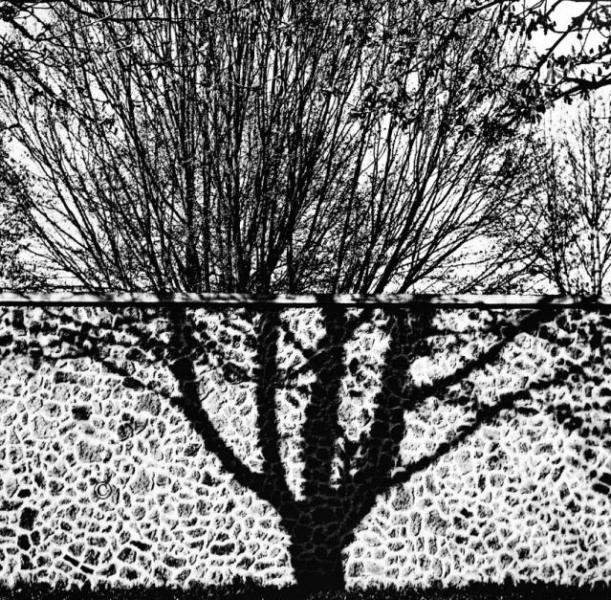 équipe d'avocats équipe d'avocats